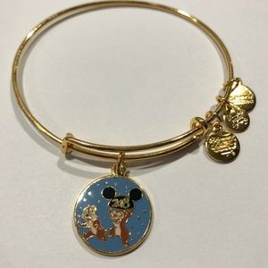 Disney Alex and Ani Chip and Dale Collectable 2018